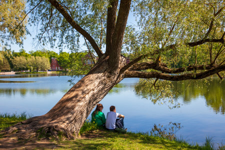 Guy with a girl under a tree by the pondの写真素材