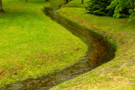 Creek on a green lawn in the park. Natureの写真素材