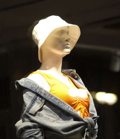 Mannequin in a swimsuit in a shop window at night.の写真素材