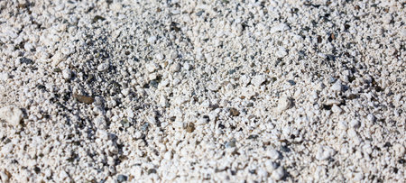 White volcanic limestone rock as background. Nature