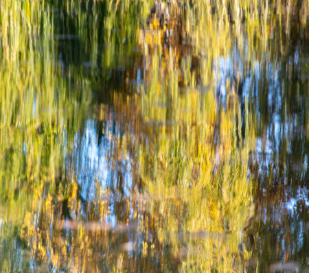 Reflection of trees on the surface of the water in autumn. Natureの写真素材