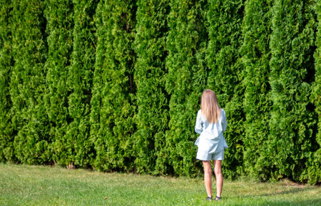 The girl stands with her back against coniferous trees in the park.の写真素材