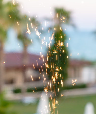 Festive firework sparks in a tropical park.の写真素材