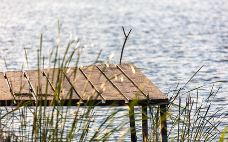 Wooden bridge leading to the lake.の写真素材