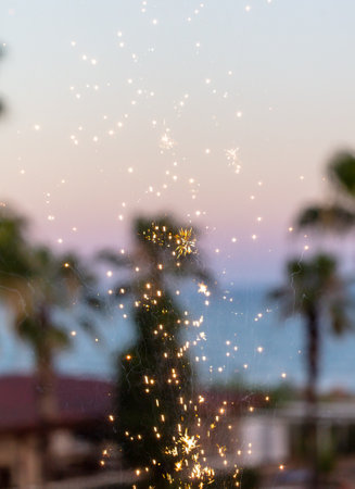 Festive firework sparks in a tropical park.