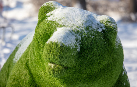 Green bear in the snow. Winterの写真素材