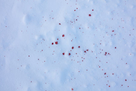 Red blood on white snow as background.の写真素材