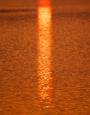 Golden expansion of water at sunset. backgroundの写真素材