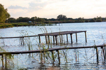 Wooden bridge leading to the lake.の写真素材