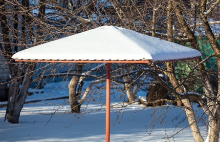 The roof of the gazebo in the snow in winter.の写真素材