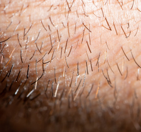 Hair on the skin of a man's face.の写真素材