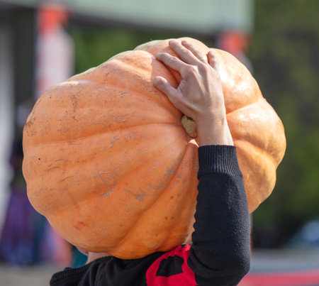 A man carries a large pumpkinの写真素材