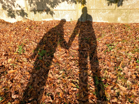Shadow of a man with a boy on the leaves in autumn. nature in the park