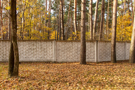 Concrete fence in the forest in autumn. Natureの写真素材