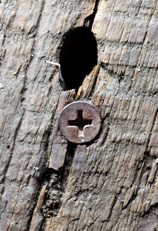 Old rusty screw screwed into the board. Macro