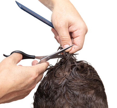 The barber cuts a man's haircut with scissors on a white background.の写真素材