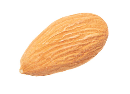 One almond nut isolated on white background. close-upの写真素材