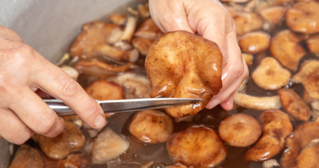 Cleaning mushrooms with a knife. close-upの写真素材