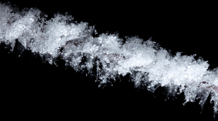 White snowflakes on a tree branch is isolated on a black background. Winterの写真素材