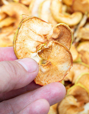 Dried apples in hand. close-upの写真素材