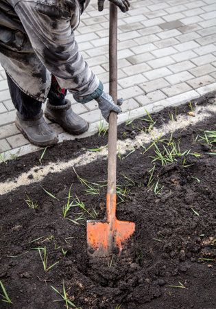 A woman digs the soil with a shovel in a vegetable garden. Spring