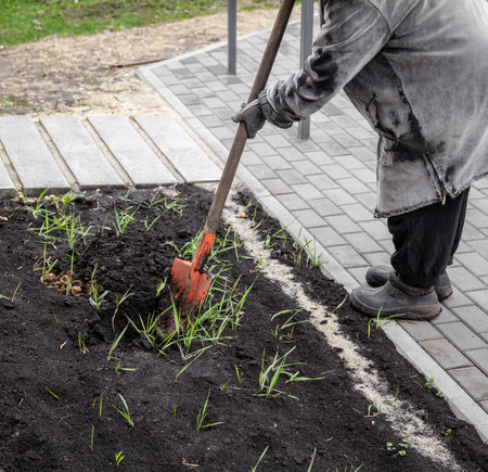 A woman digs the soil with a shovel in a vegetable garden. Spring