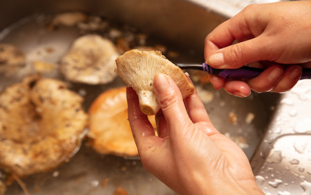 Washing mushrooms with a toothbrush and water.の写真素材