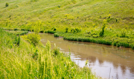 River in nature in summer.