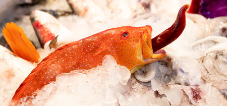 Sea fish in ice in a restaurant. foodの写真素材