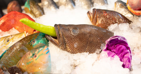 Sea fish in ice in a restaurant. foodの写真素材