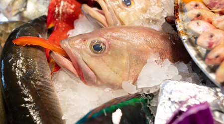 Sea fish in ice in a restaurant. food