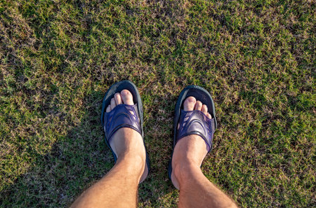 Legs of a man in flip flops on a green lawn. View from aboveの写真素材