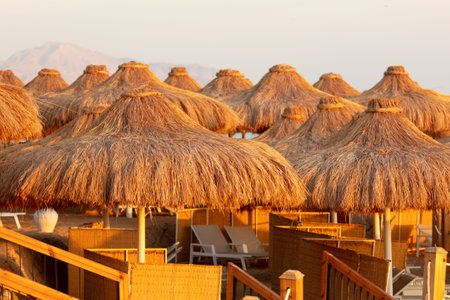 Straw umbrellas on the beach at sunset. backgroundの写真素材