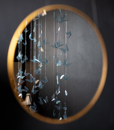 Butterfly scenery reflection in the mirror.