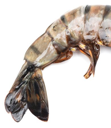 King prawn tail isolated on white background. close-upの写真素材