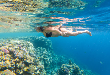 The girl swims underwater in the sea.の写真素材