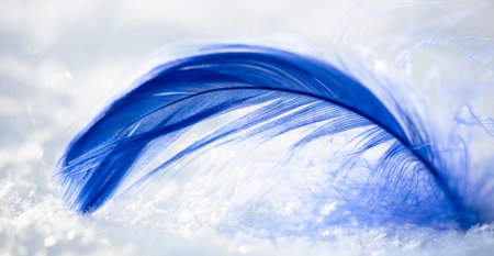 Blue feather on white snow in winter. close-up.の写真素材