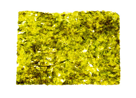 Dry plates of sea kale isolated white background.