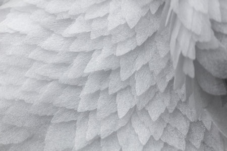 Artificial white feathers on the wing as background. Textureの写真素材