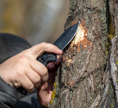 Female hand with a knife cutting a tree in the spring forest.