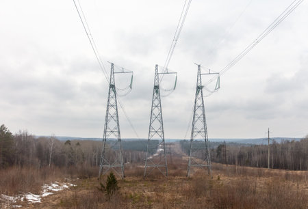 Power line in the middle of the forest. beautiful winter landscape.