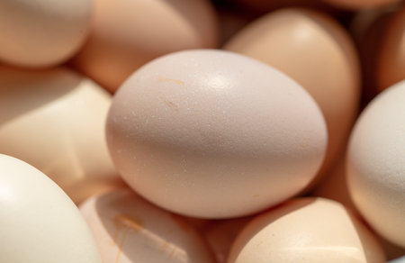 Eggs in a box. close-up. background.