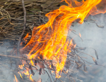 Burning firewood in a campfire, close up.の写真素材