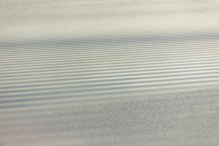 abstract background - water ripples on the surface of the lake.
