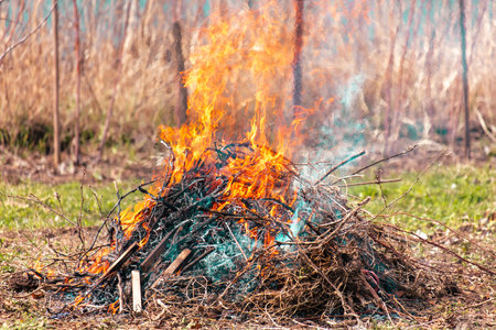 Burning dry grass on the ground in the forest. close-up.の写真素材
