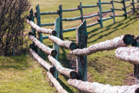 Wooden fence on the green grass in the spring. natural background.の写真素材