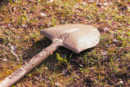 Shovel on the ground in the garden. selective focus.