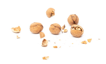 Walnuts isolated on a white background. close-up shot.の写真素材