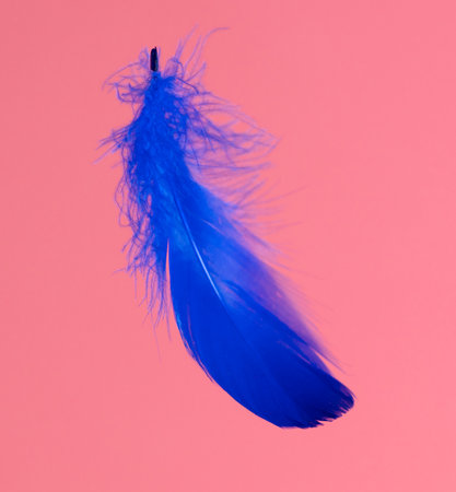 Blue feather isolated on a pink background. close-upの写真素材