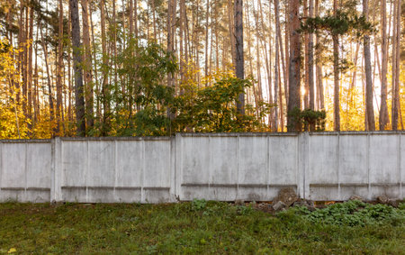 Concrete fence in the forest in autumn.の写真素材